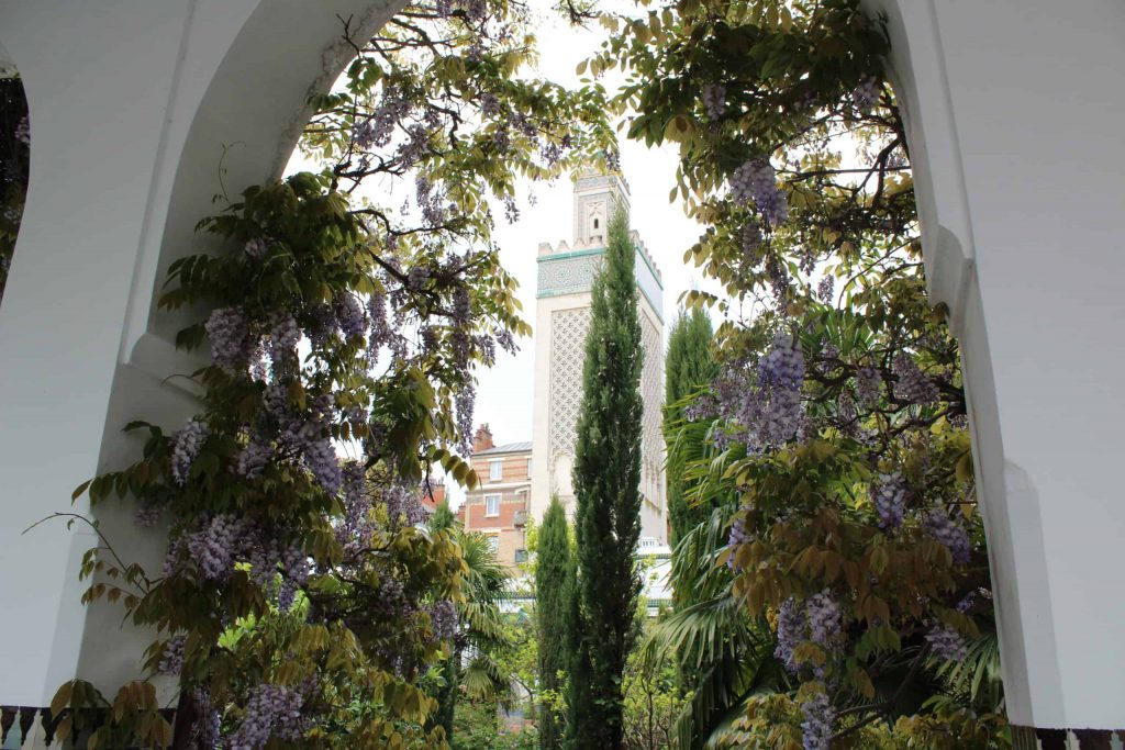 A photo of an archway covered in wisteria, with the minaret tower in the background, seen through the arch.