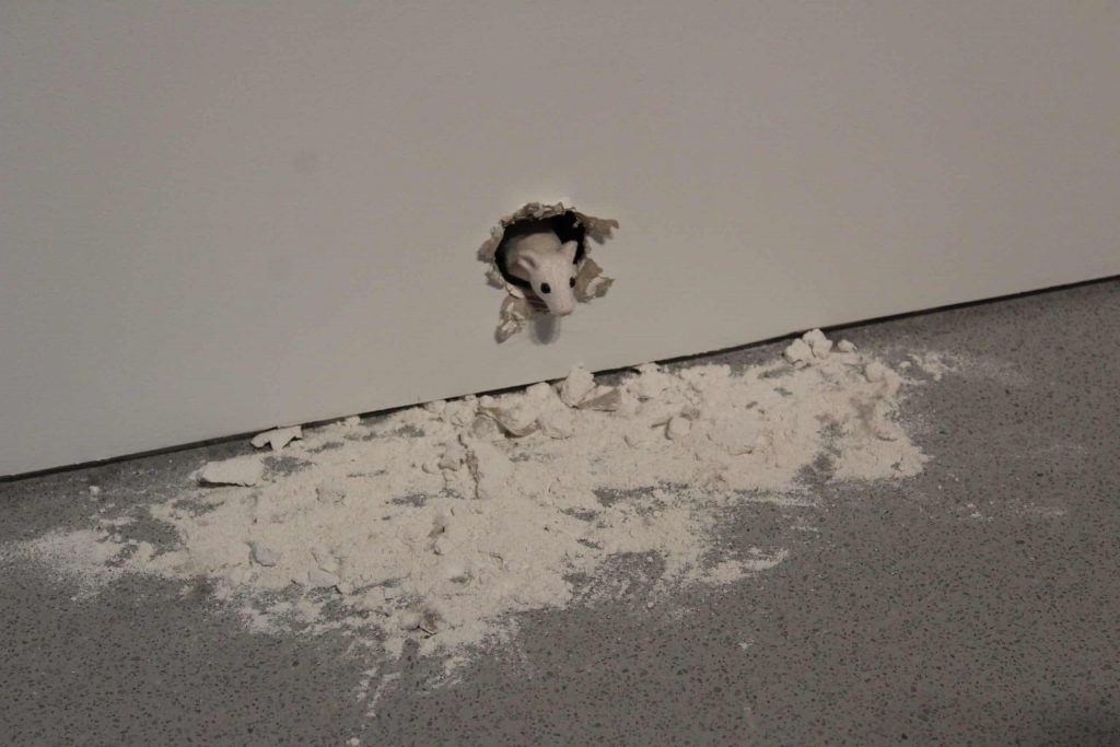 A photo of a white, animatronic mouse, poking his head out of a hole in the wall with dust and pieces of the wall below him.